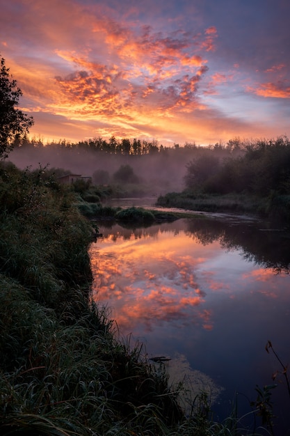 Breathtaking view of a forest and a river gleaming under the sunset piercing through the cloudy sky