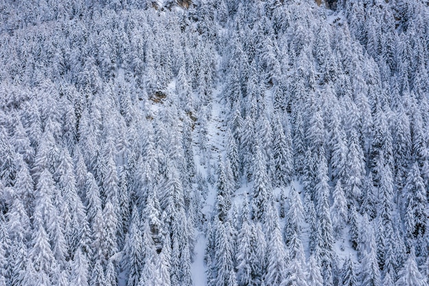 昼間は雪に覆われた森林に覆われた山々の息を呑むような景色