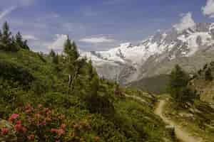 Free photo breathtaking view of a green trail with snowy mountains in saas-grund, switzerland