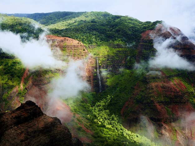 Breathtaking view of the magnificent foggy mountains and cliffs covered with tree