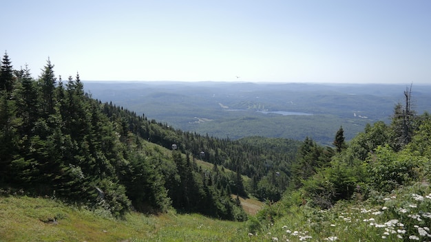 캐나다 Lac Lajoie에있는 Mont Tremblant 국립 공원의 나무 덮힌 산의 숨막히는 전망