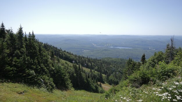 Breathtaking view of tree covered mountains in Mont Tremblant National Park in Lac Lajoie, Canada