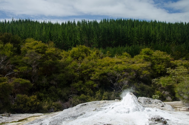 Breathtaking view of the Wai-o-Tapu, New Zealand