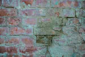 Foto gratuita trama di muro di mattoni