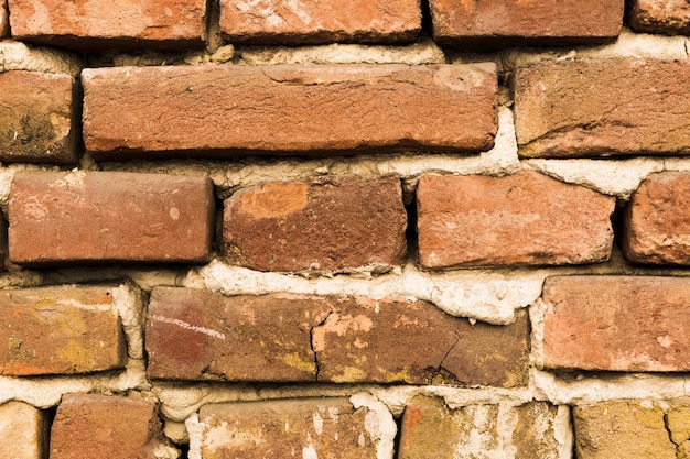 Brick wall with cement