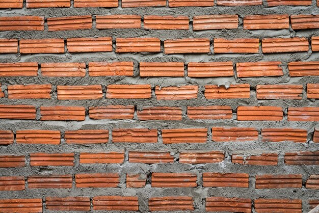 Brick wall with fresh cement close up