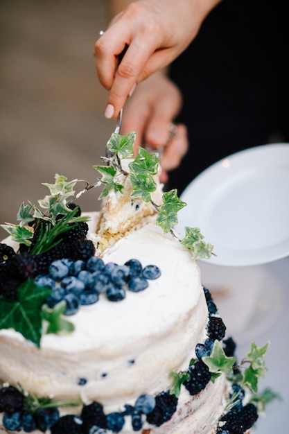 무료 사진 신부와 신랑은 블루 베리와 웨딩 케이크를 잘라