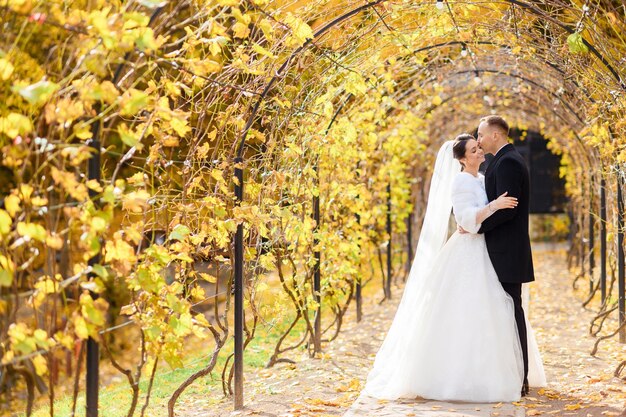 Bride Couple Hugging Under Vineyard With Yellowed Leaves