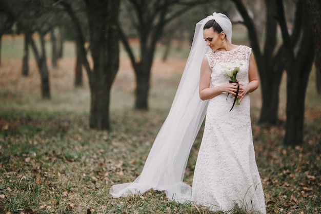 Bride in a forest