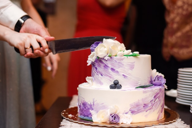Жених и невеста разрезают свадебный торт
