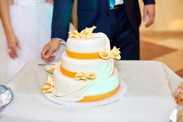 Bride and groom stand before white wedding cake decorated