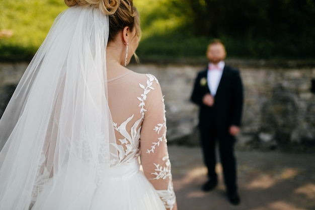 Free photo the bride and groom walk