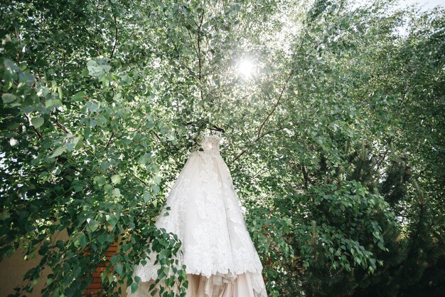 The bride's dress hangs on the trees in the rays of the sun