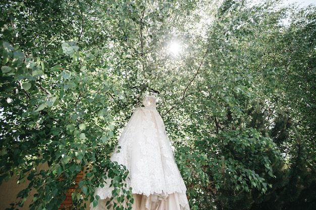 신부의 드레스는 태양 광선에 나무에 매달려
