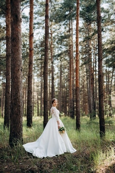 The bride walking in a pine forest on a bright day Premium Photo