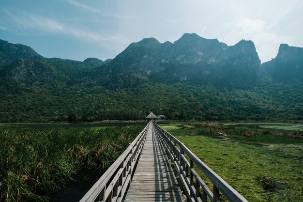 bridge ,lake and mountain