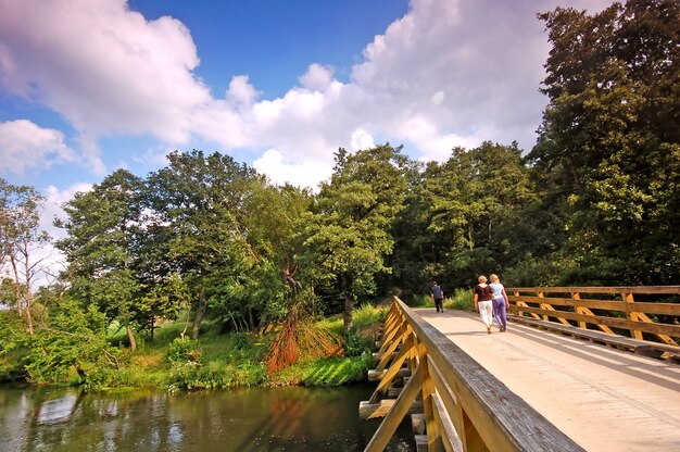 Bridge over lake