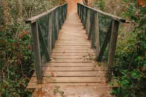 Free photo bridge in nature