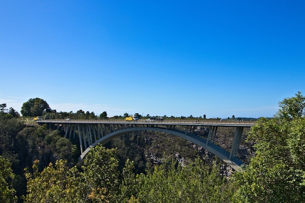 ガーデンルート国立公園の澄んだ空の下、緑に囲まれた橋