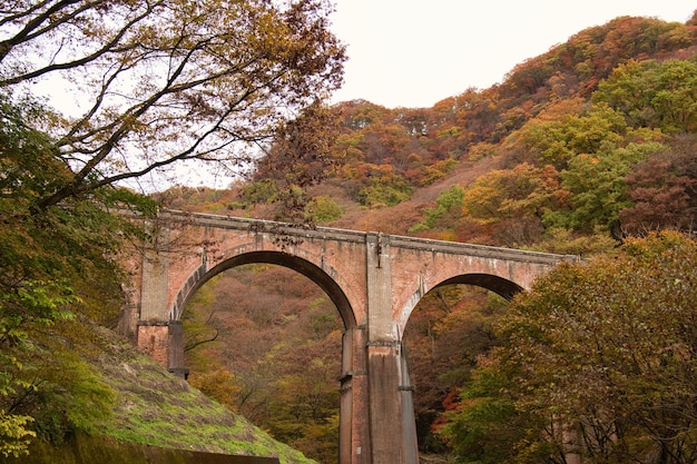 Bridge in the Usui Pass Annaka in Japan