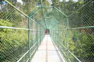 Free photo bridge way for tourists surrounded with green grid. safety concrete bridge or pathway for crossing river or lake. tourism, adventure and summer vacation concept