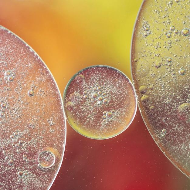 Bright Airy Bubbles and Glowing Drops – Free Stock Photos for Download