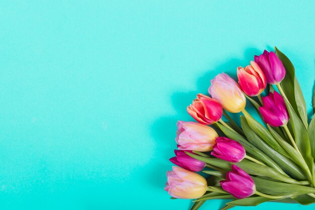 Bright bouquet of tulips in corner