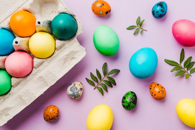 Bright collection of colored eggs near container and leaves