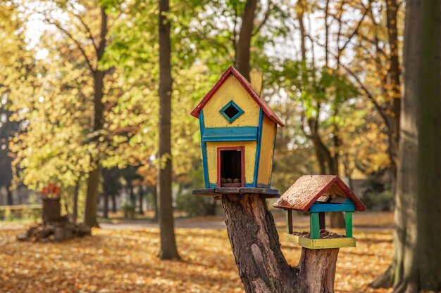 Bright colored wooden bird feeders in the autumn forest on a blurred background.