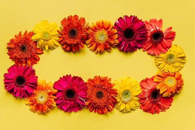 Bright colorful flowers arrangement 