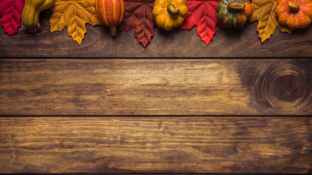 Bright composition of pumpkins and maple leaves