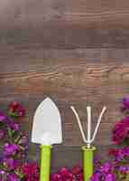 Free photo bright flowers near gardening tools