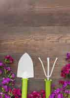 Free photo bright flowers near gardening tools