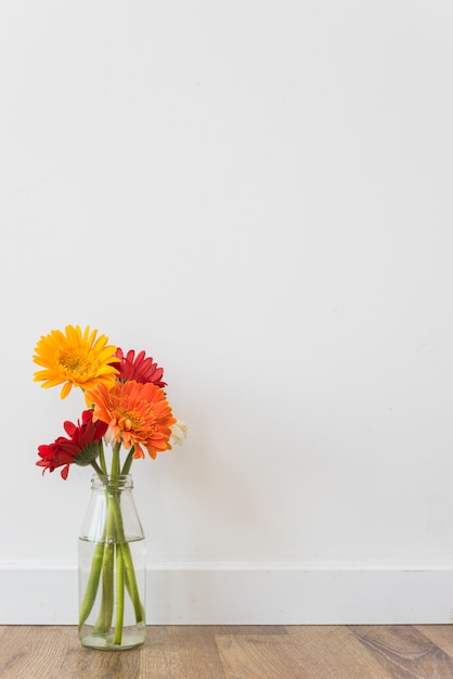 Bright flowers standing in bottle