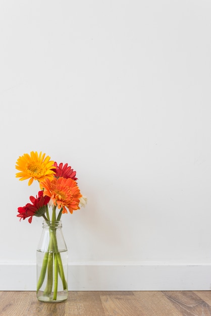 무료 사진 병에 서있는 밝은 꽃