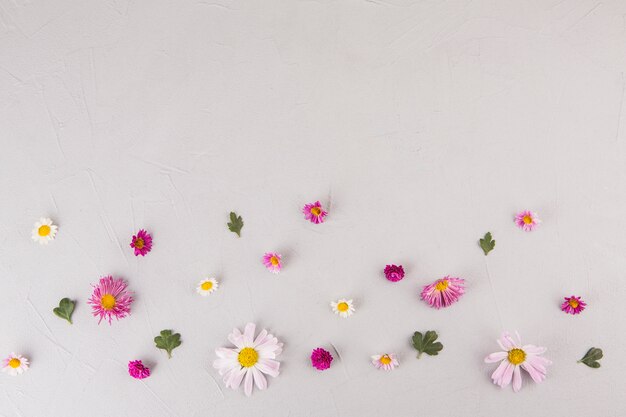 Bright flowers with leaves scattered on table