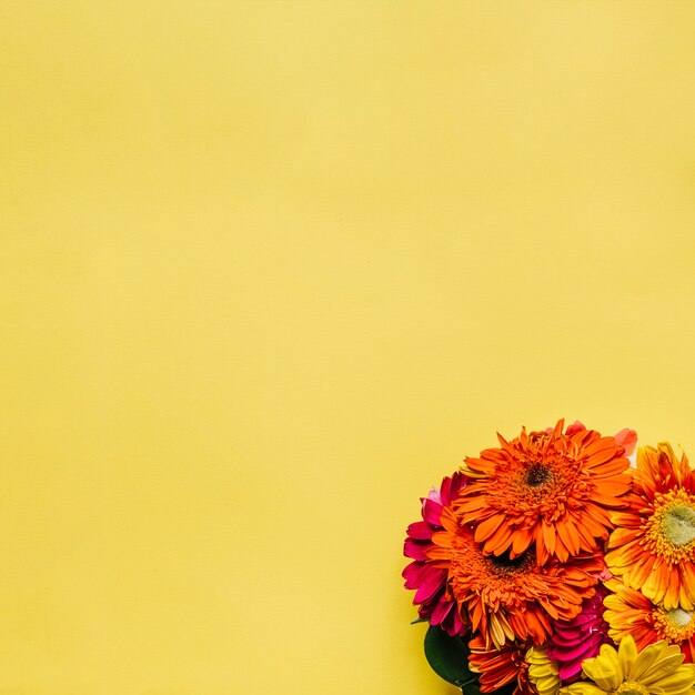 Bright flowers on yellow background