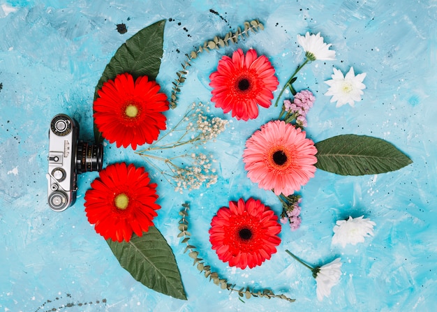 Free photo bright gerbera flowers with camera on blue table