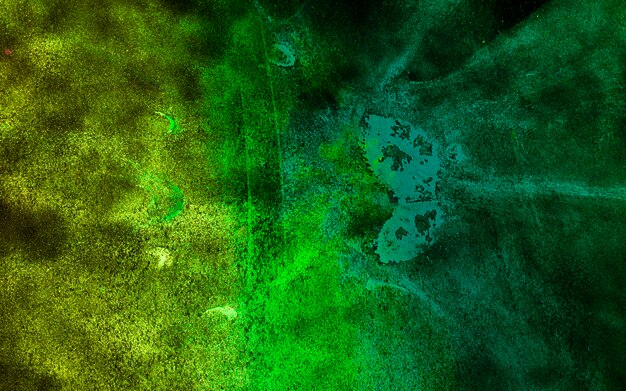 Bright green holi color particles on background