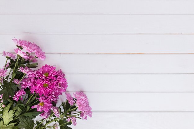 Bright pink daisies bouquet on white