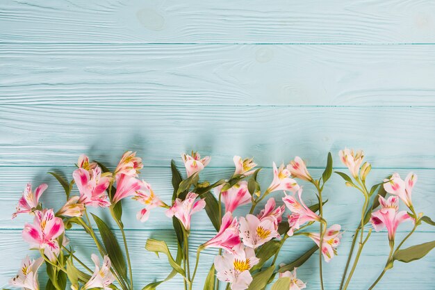 木製のテーブルに散らばって明るいピンクの花