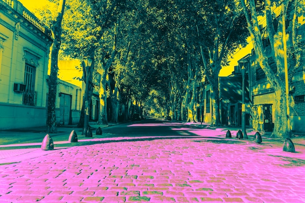 Foto gratuita luminoso paesaggio del parco pop