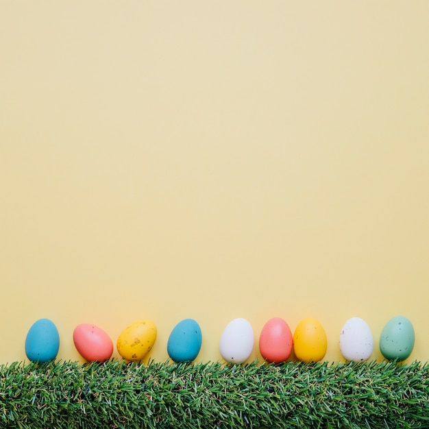 Бесплатное фото Яркие яйца перепелов в ряду