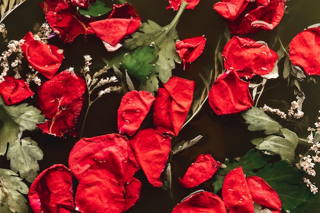 Bright red petals in black water