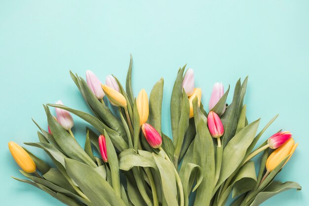 Bright tulip flowers on blue table