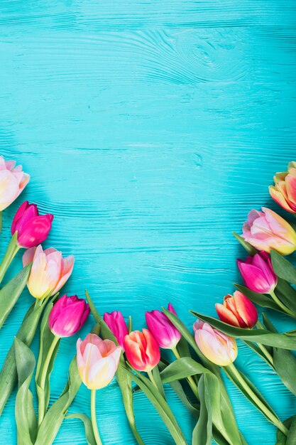 Bright tulips on blue table