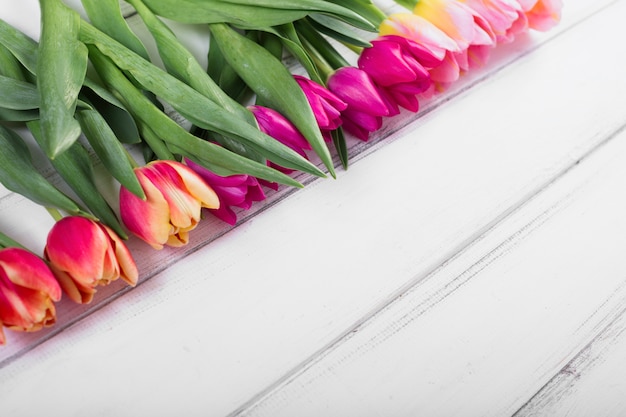 Бесплатное фото Яркие тюльпаны в ряд