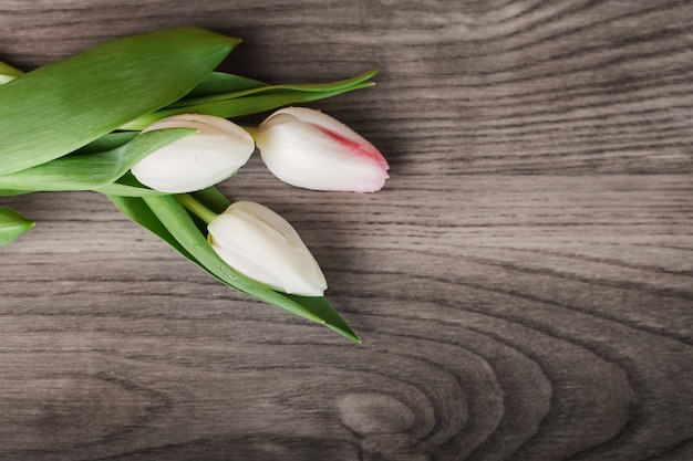 Free photo bright tulips on wood plank