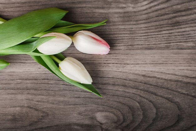 Яркие тюльпаны на деревянной доске