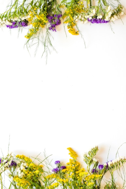 Bright wild flowers on white